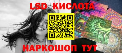 крисы Краснодар