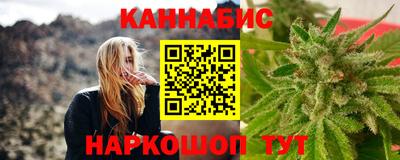 сатива Краснознаменск