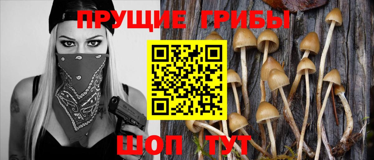 Галлюциногенные грибы Magic Shrooms Азов