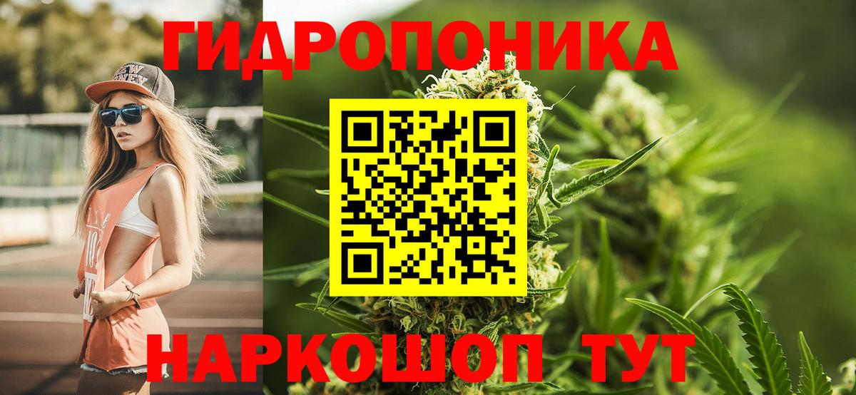 Конопля гибрид Азов